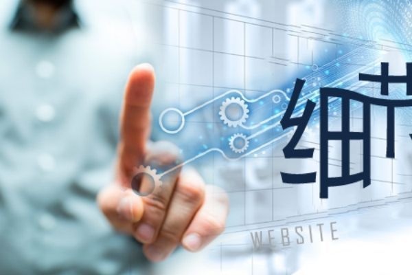 保定白沟箱包企业电商网站开发指南